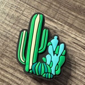 Cactus Crocs Jibbitz Shoe Charm 5/$20
